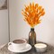 100 Pcs Bunny Tails Dried Flowers, Natural Dried Bunny Tails Grass Dried Lagurus Ovatus Rabbit Tail Grass for Flowers Arrangements DIY Craft Wedding Party Home Table Decor (Orange)